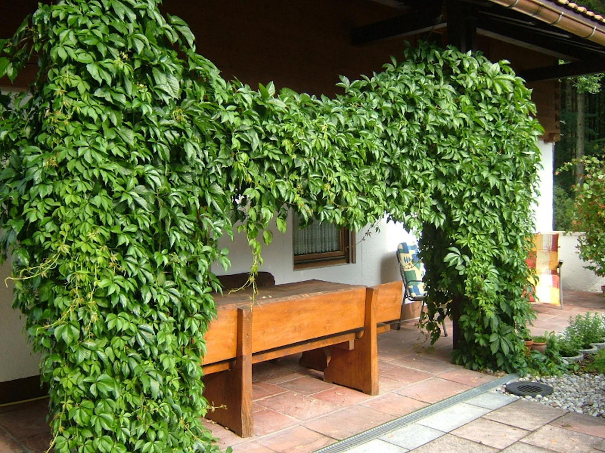 Haus Mayerbuechler - Chiemgau Karte Inzell Buitenkant foto